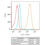 Flow Cytometry - Anti-Integrin alpha V Antibody [ARC50621] (A308725) - Antibodies.com