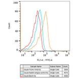 Flow Cytometry - Anti-Integrin alpha V Antibody [ARC50621] (A308725) - Antibodies.com