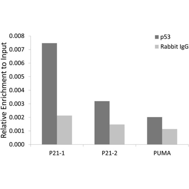Chromatin Immunoprecipitation - Anti-p53 Antibody (A309435) - Antibodies.com