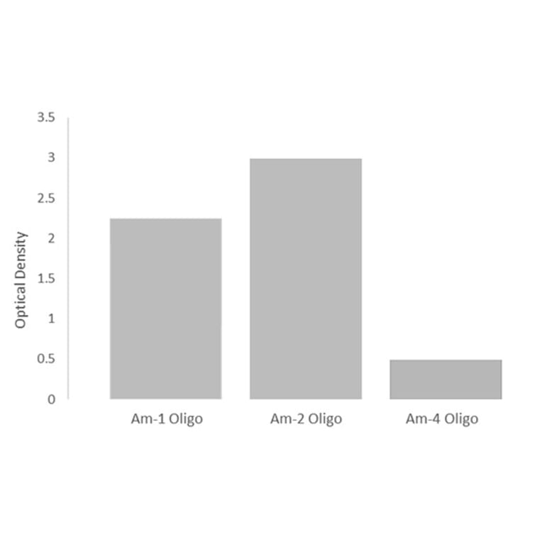 Nucleotide Array - Anti-2'-O-methyladenosine Antibody (A309551) - Antibodies.com
