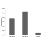 Nucleotide Array - Anti-N6-methyladenosine/m6A Antibody (A309558) - Antibodies.com