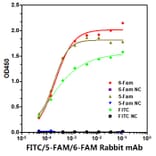 ELISA - Anti-FITC/5-FAM/6-FAM Antibody [ARC51073] (A309592) - Antibodies.com