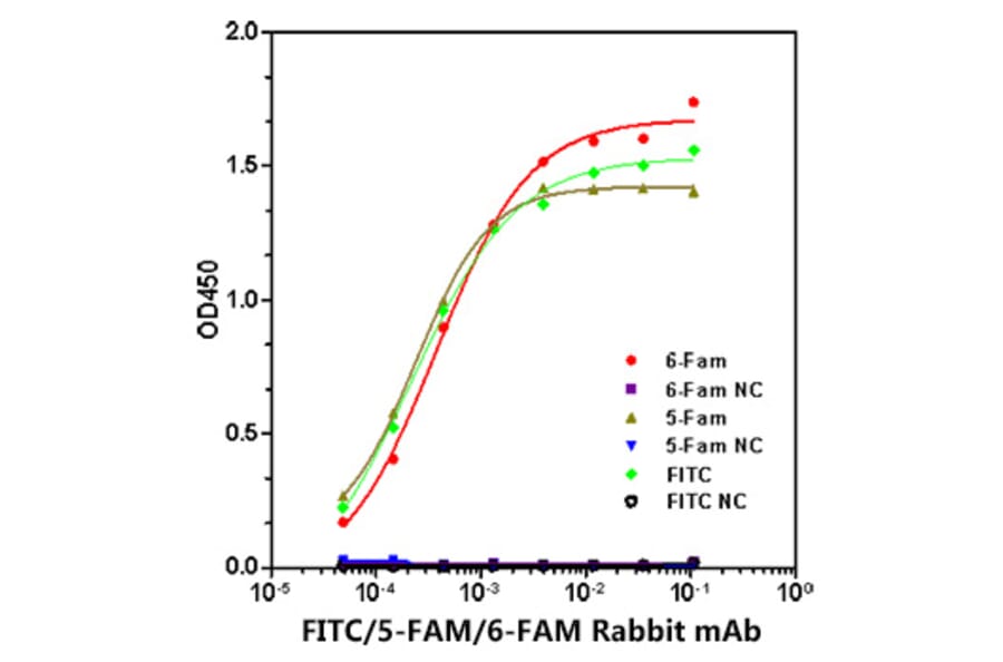 ELISA - Anti-FITC/5-FAM/6-FAM Antibody [ARC51071] (A309593) - Antibodies.com