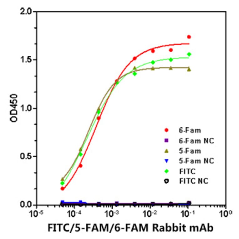 ELISA - Anti-FITC/5-FAM/6-FAM Antibody [ARC51071] (A309593) - Antibodies.com