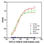 ELISA - Anti-FITC/5-FAM/6-FAM Antibody [ARC51071] (A309593) - Antibodies.com