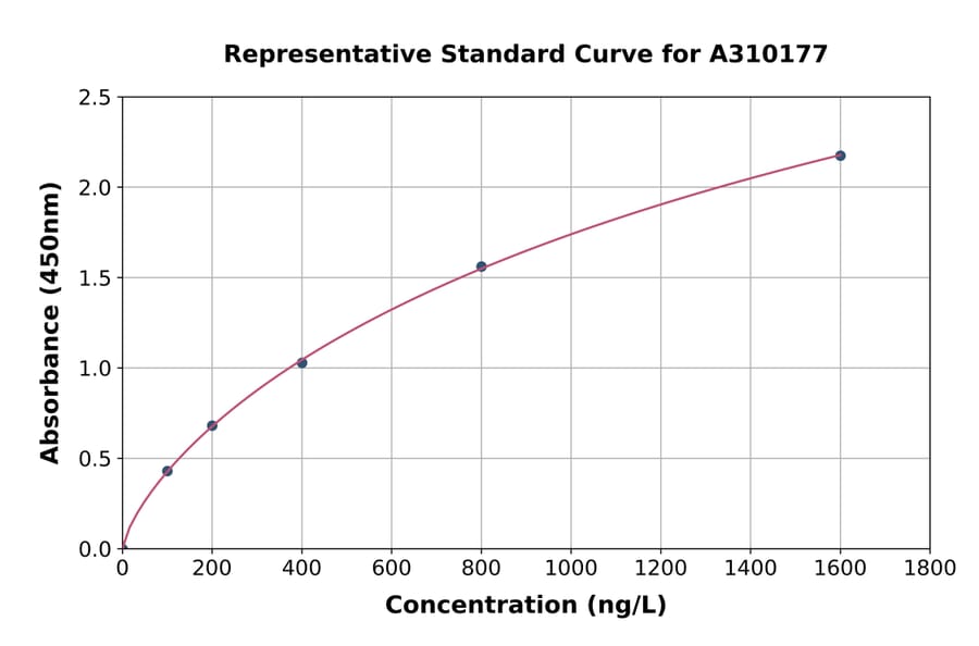 Standard Curve - Human P4HA2 ELISA Kit (A310177) - Antibodies.com