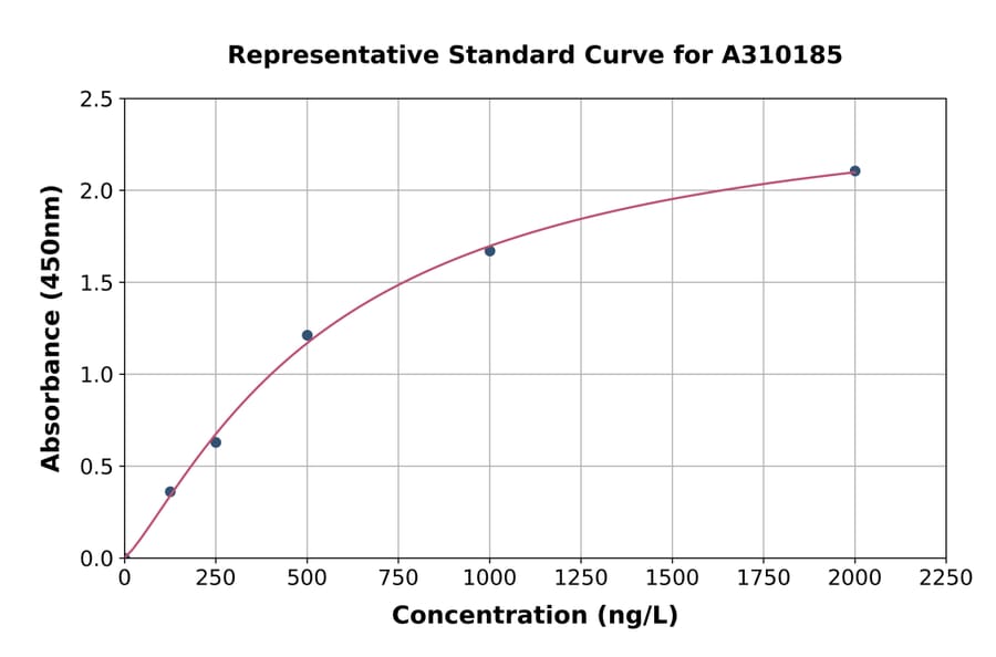 Standard Curve - Mouse APG5L / ATG5 ELISA Kit (A310185) - Antibodies.com