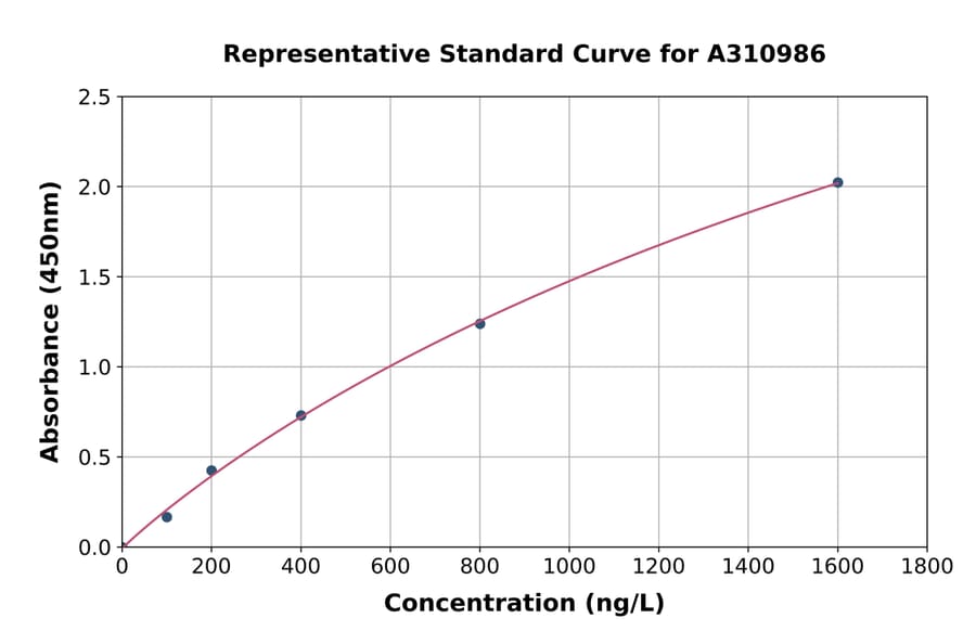 Standard Curve - Human KAT2 / AadAT ELISA Kit (A310986) - Antibodies.com