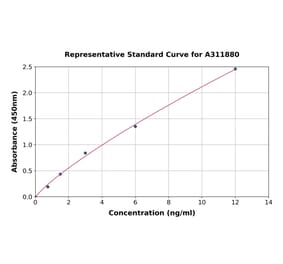 Standard Curve - Human PRSS22 ELISA Kit (A311880) - Antibodies.com