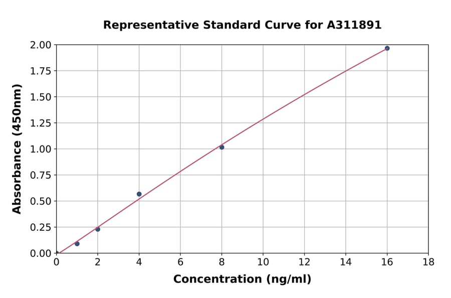 Standard Curve - Mouse SESN2 / Sestrin-2 ELISA Kit (A311891) - Antibodies.com
