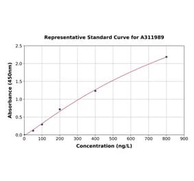 Standard Curve - Human NADPH Oxidase 4 ELISA Kit (A311989) - Antibodies.com