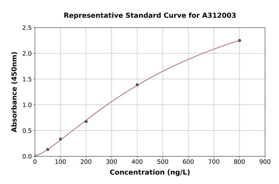 Standard Curve - Human Src ELISA Kit (A312003) - Antibodies.com