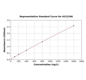 Standard Curve - Human HADH ELISA Kit (A312246) - Antibodies.com