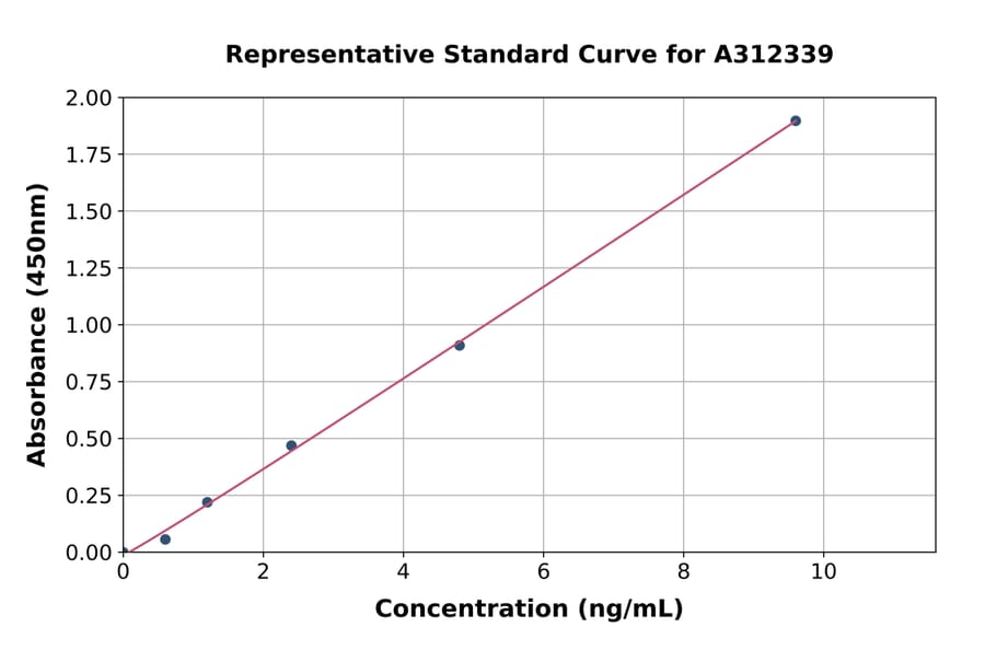 Standard Curve - Human TSG6 ELISA Kit (A312339) - Antibodies.com