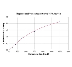 Standard Curve - Human LC3B ELISA Kit (A312460) - Antibodies.com
