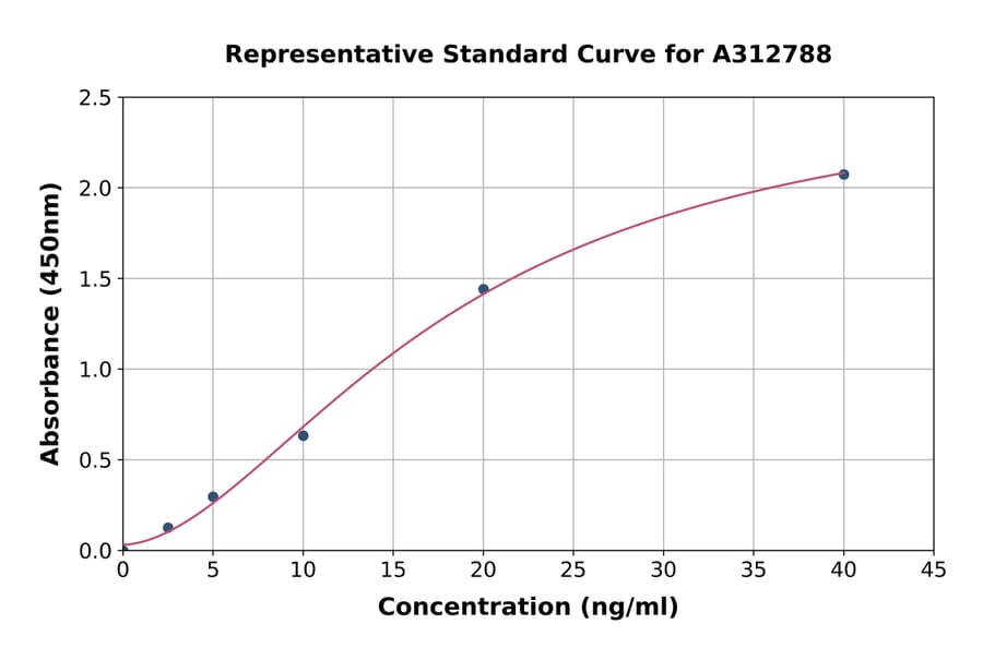 Standard Curve - Mouse COMT ELISA Kit (A312788) - Antibodies.com