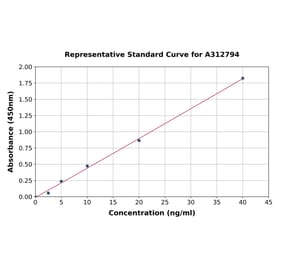 Standard Curve - Human CD105 ELISA Kit (A312794) - Antibodies.com