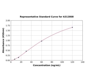 Standard Curve - Human Liver Arginase ELISA Kit (A312808) - Antibodies.com
