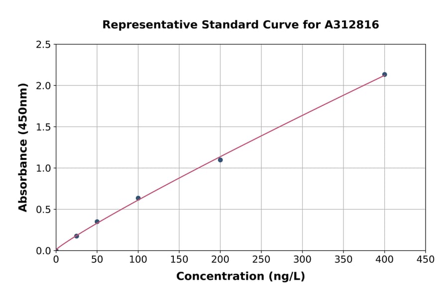 Standard Curve - Human RBM46 ELISA Kit (A312816) - Antibodies.com