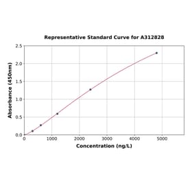 Standard Curve - Human Phosphoserine Aminotransferase ELISA Kit (A312828) - Antibodies.com