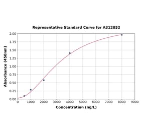Standard Curve - Human MMP19 ELISA Kit (A312852) - Antibodies.com