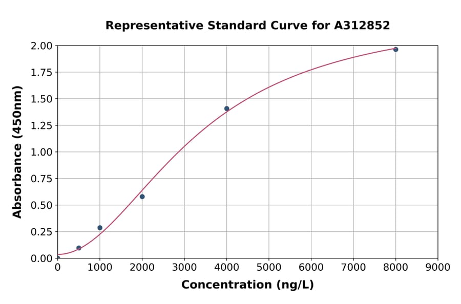 Standard Curve - Human MMP19 ELISA Kit (A312852) - Antibodies.com