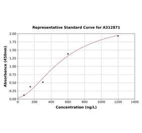 Standard Curve - Human CYP1A1 ELISA Kit (A312871) - Antibodies.com