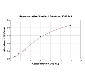 Standard Curve - Human Wnt5a ELISA Kit (A312949) - Antibodies.com