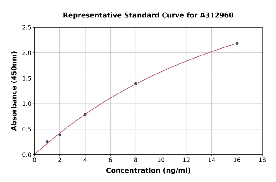 Standard Curve - Human KCNJ16 ELISA Kit (A312960) - Antibodies.com