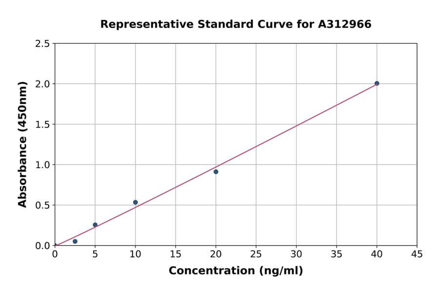 Standard Curve - Mouse MMP12 ELISA Kit (A312966) - Antibodies.com