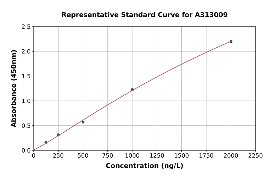 Standard Curve - Human KALRN ELISA Kit (A313009) - Antibodies.com