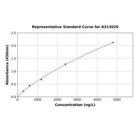 Standard Curve - Human CD10 ELISA Kit (A313020) - Antibodies.com