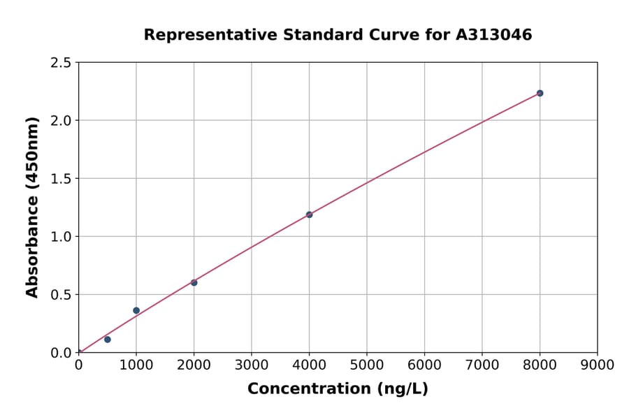 Standard Curve - Human IGF2BP2 / IMP-2 ELISA Kit (A313046) - Antibodies.com