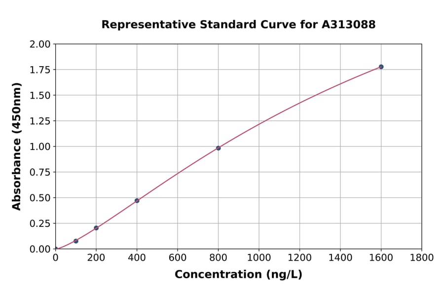 Standard Curve - Human MPPB ELISA Kit (A313088) - Antibodies.com