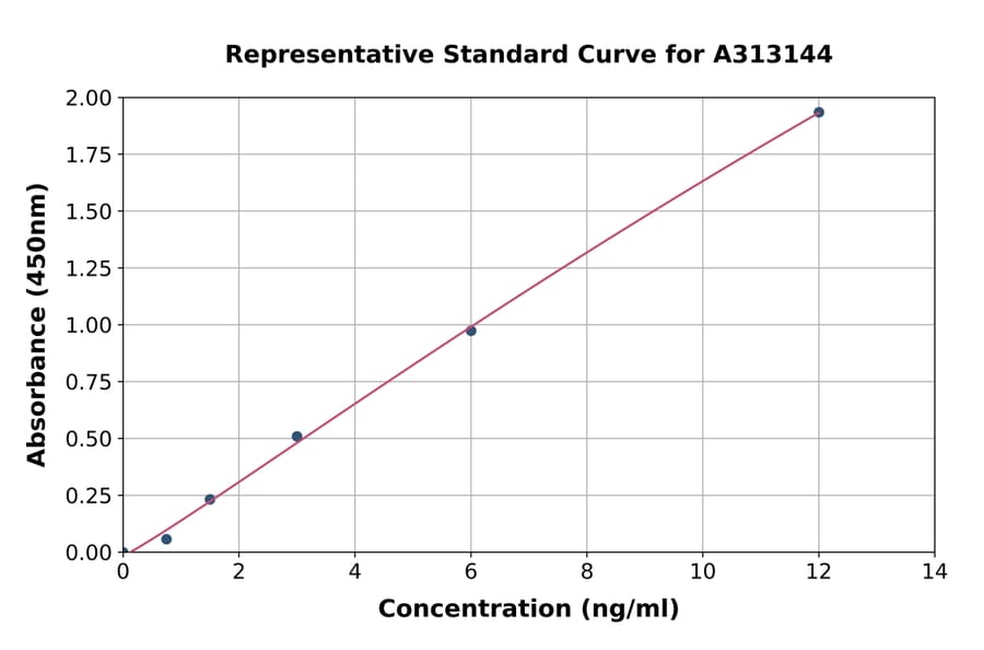 Standard Curve - Human MTR ELISA Kit (A313144) - Antibodies.com
