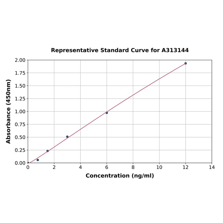 Standard Curve - Human MTR ELISA Kit (A313144) - Antibodies.com