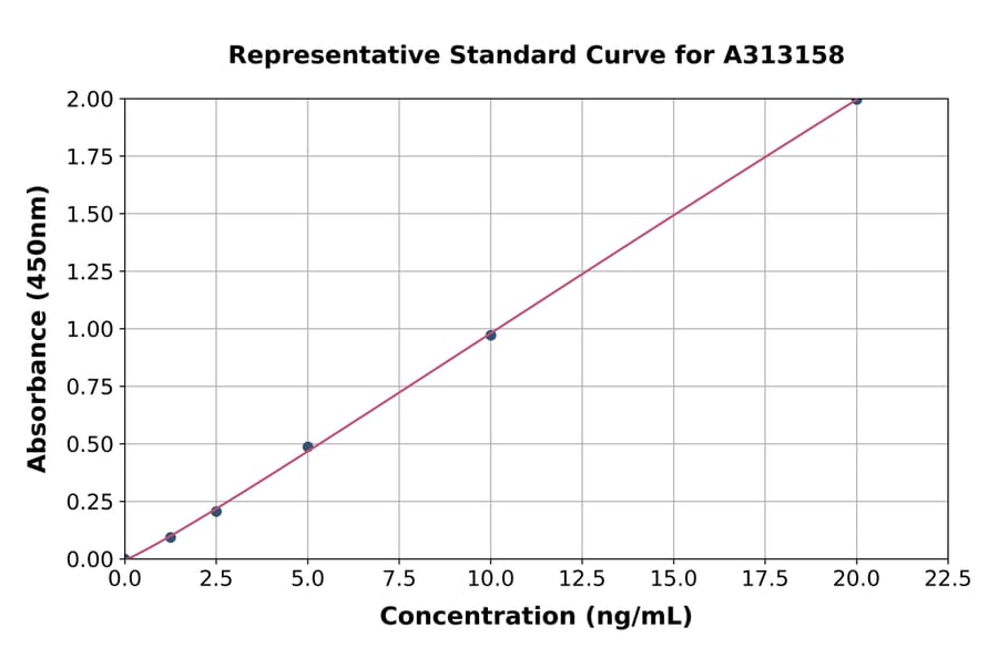 Standard Curve - Human SETD4 ELISA Kit (A313158) - Antibodies.com