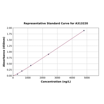 Standard Curve - Human Claudin18 ELISA Kit (A313220) - Antibodies.com
