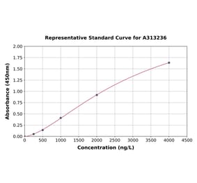 Standard Curve - Human Myelin Basic Protein ELISA Kit (A313236) - Antibodies.com