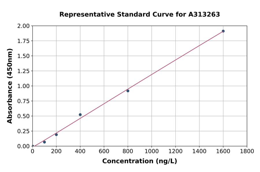 Standard Curve - Human Eph Receptor A4 / SEK ELISA Kit (A313263) - Antibodies.com