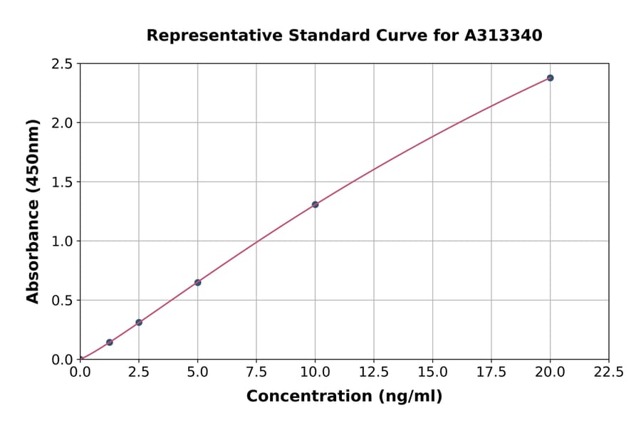 Standard Curve - Human FECH ELISA Kit (A313340) - Antibodies.com