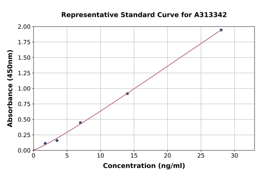 Standard Curve - Human Rad50 ELISA Kit (A313342) - Antibodies.com