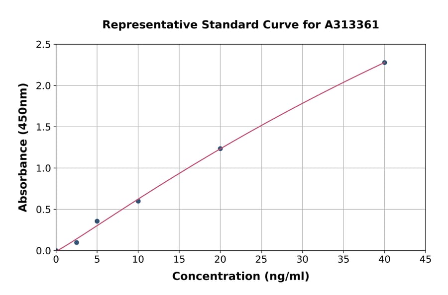 Standard Curve - Human Leukotriene B4 Receptor / BLT ELISA Kit (A313361) - Antibodies.com