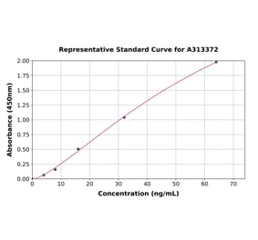 Standard Curve - Human PAPP A2 ELISA Kit (A313372) - Antibodies.com