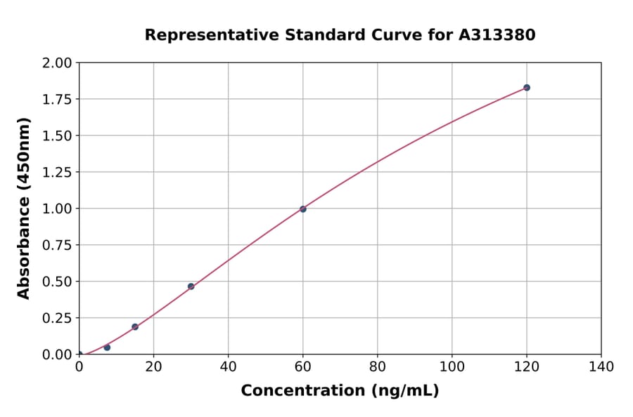 Standard Curve - Mouse CD146 ELISA Kit (A313380) - Antibodies.com