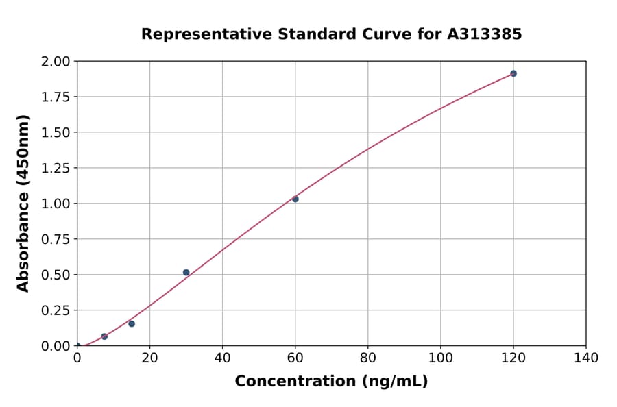 Standard Curve - Human Kallikrein 12 ELISA Kit (A313385) - Antibodies.com