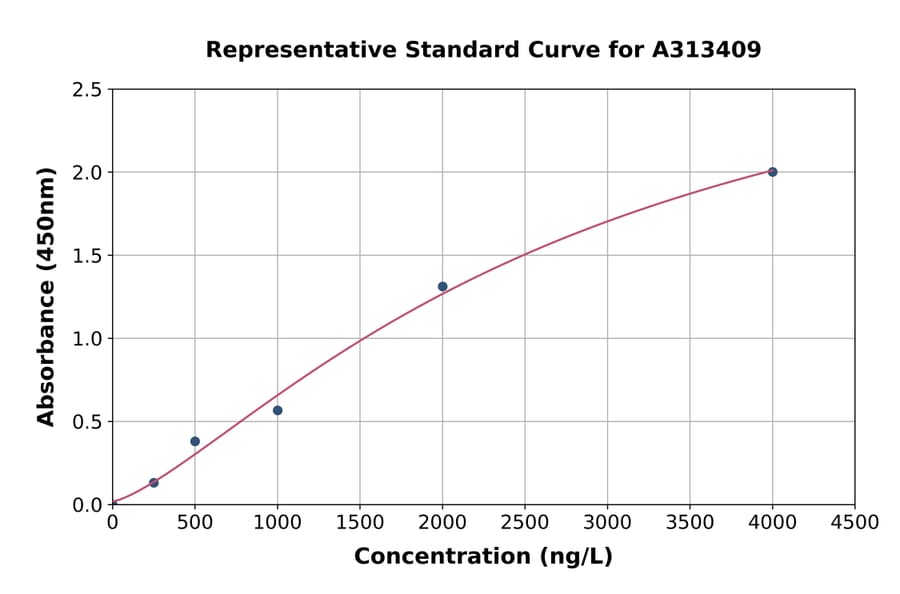 Standard Curve - Human Caspase-14 ELISA Kit (A313409) - Antibodies.com