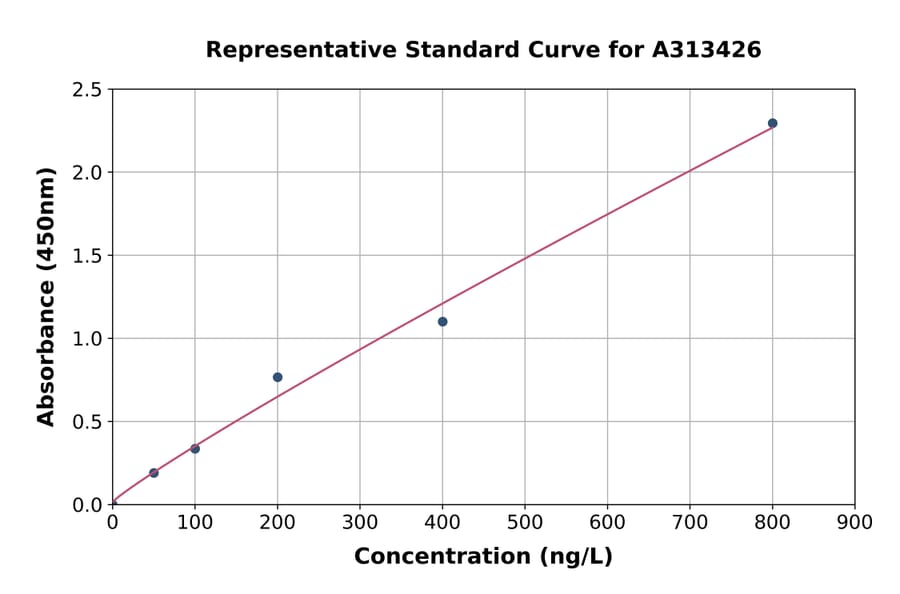 Standard Curve - Human MPP10 ELISA Kit (A313426) - Antibodies.com