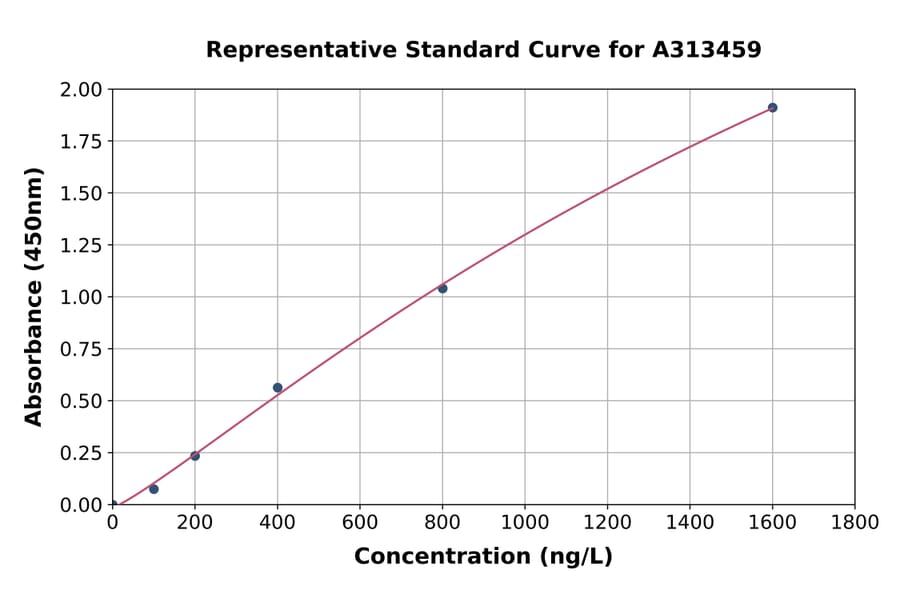Standard Curve - Human NOX5 ELISA Kit (A313459) - Antibodies.com