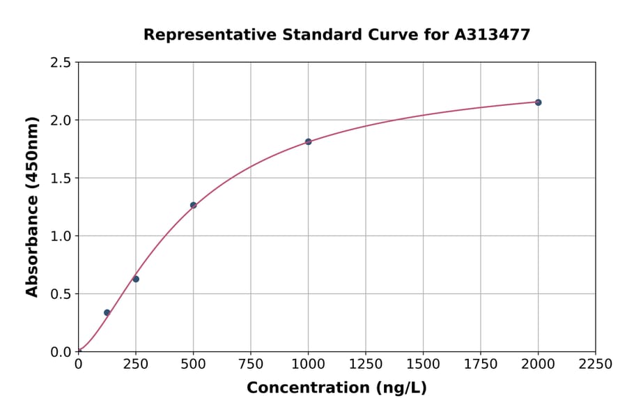 Standard Curve - Human Nav1.6 / SCN8A ELISA Kit (A313477) - Antibodies.com